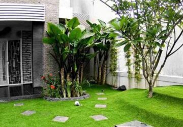 thảm cỏ Hà Nội