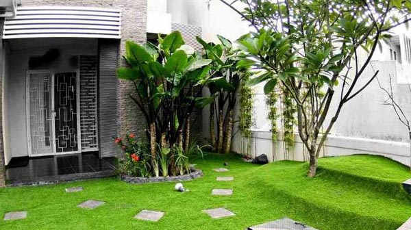 thảm cỏ Hà Nội