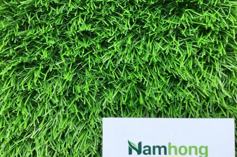 cỏ Golf NHG2-15