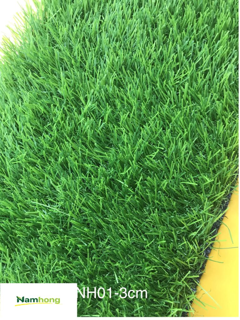 thảm cỏ hà nội