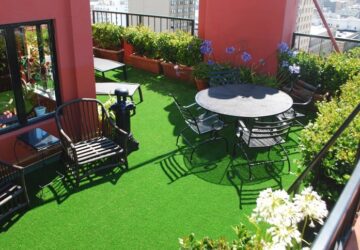 thảm cỏ Hà Nội