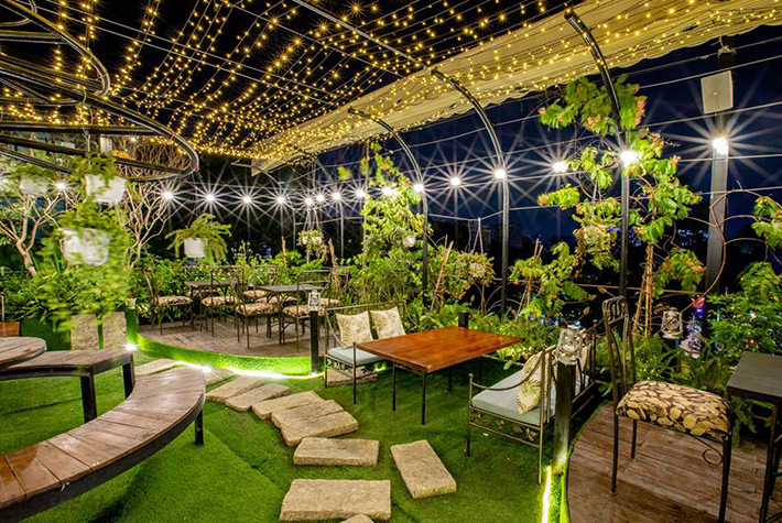 thảm cỏ Hà Nội