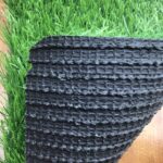 thảm cỏ Hà Nội