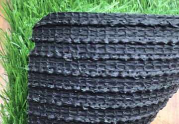 thảm cỏ Hà Nội