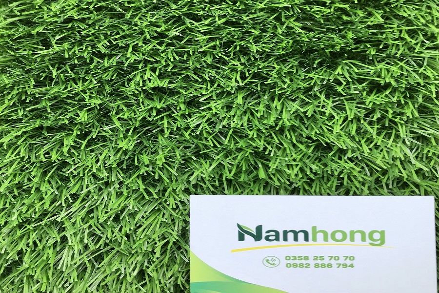thảm cỏ Hà Nội