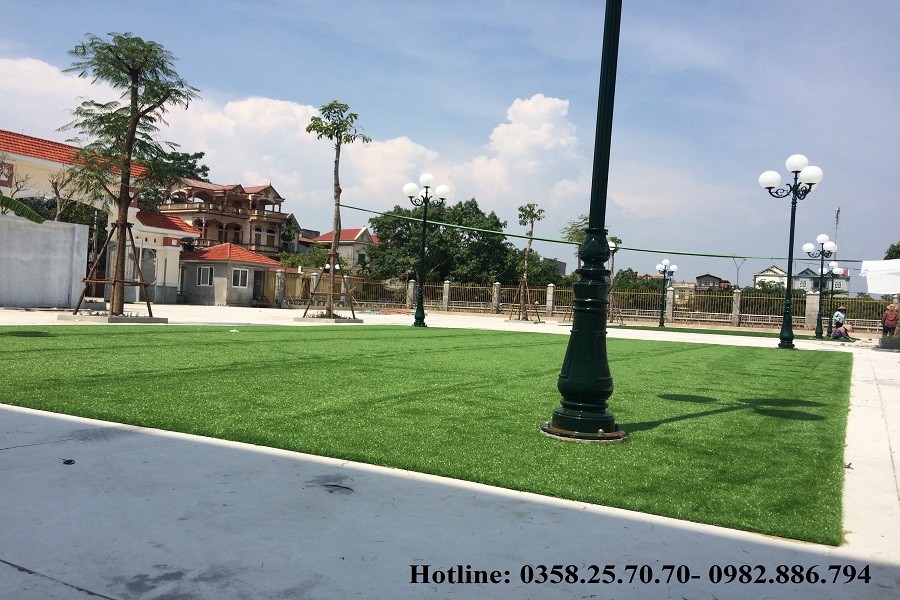 thảm cỏ Hà Nội