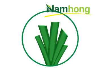thảm cỏ Hà Nội
