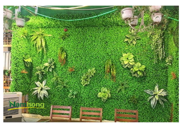 thảm cỏ Hà Nội