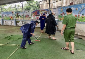 thảm cỏ Hà Nội