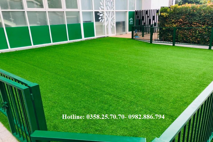 thảm cỏ Hà Nội