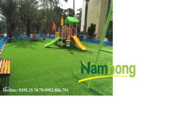 thảm cỏ Hà Nội