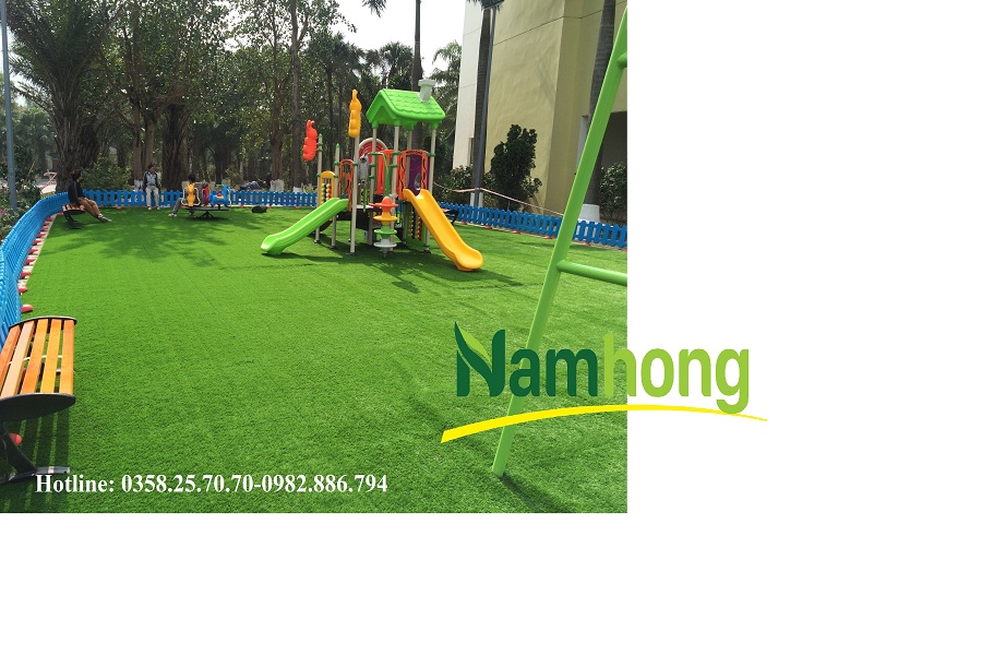 thảm cỏ Hà Nội