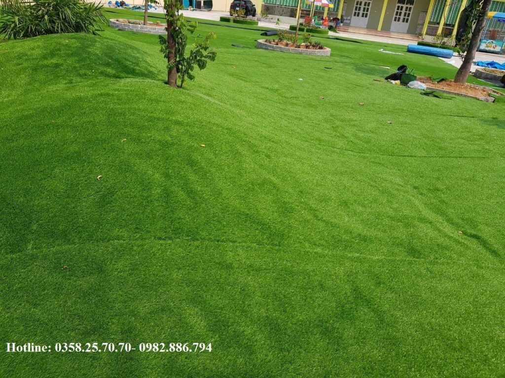 thảm cỏ Hà Nội