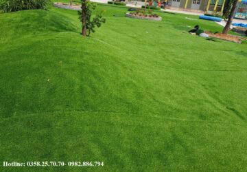 thảm cỏ Hà Nội