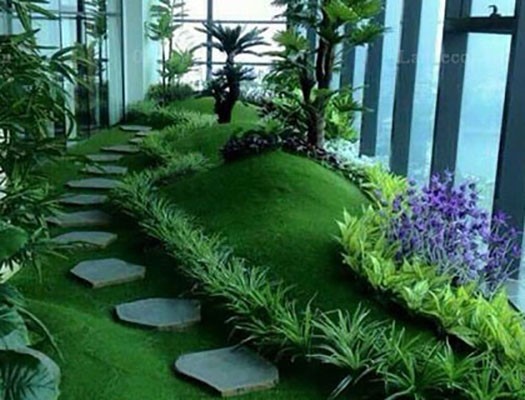thảm cỏ Hà Nội